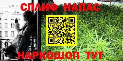прущие грибы Чебоксары