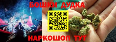 прущие грибы Чебоксары