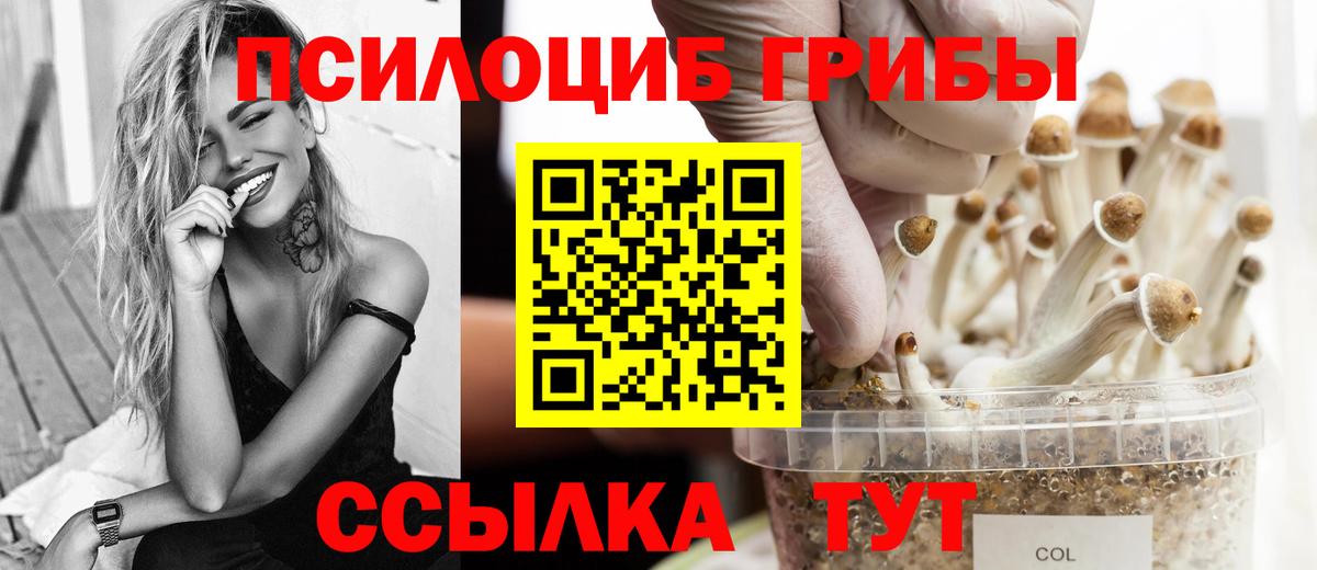 купить наркотик  Вход с VPN  Борзя  Галлюциногенные грибы Magic Shrooms 